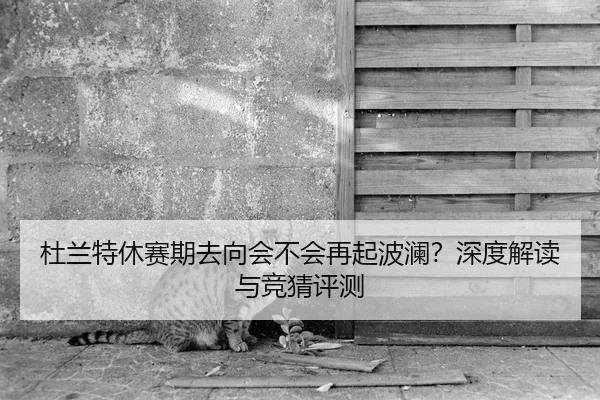 杜兰特休赛期去向会不会再起波澜？深度解读与竞猜评测